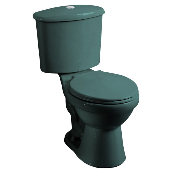 Juego Inodoro Verde Intenso C/Pedestal